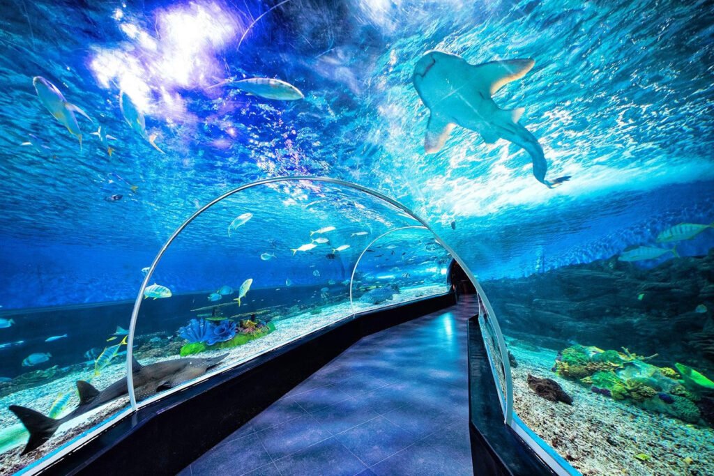 Cebu Ocean Park