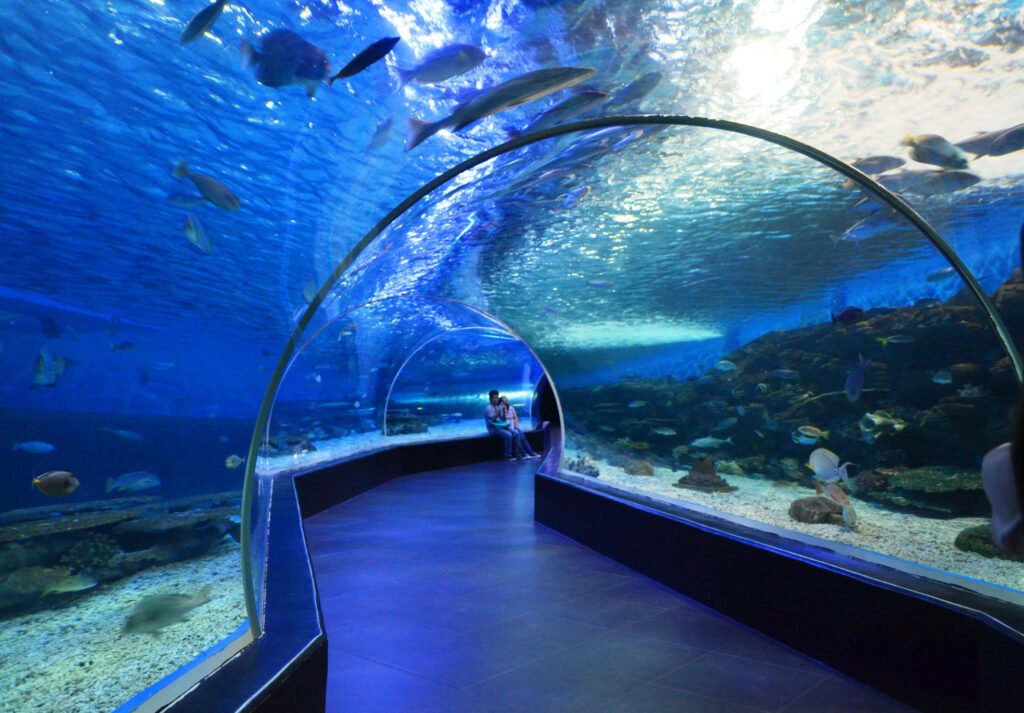 Manila Ocean Park Aquarium Tunnel