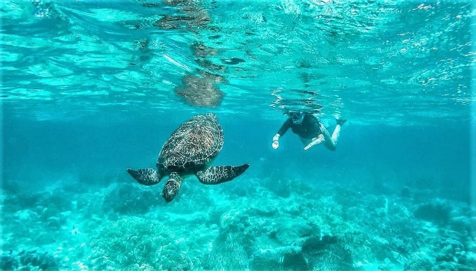 Tubod Marine Sanctuary 🤿