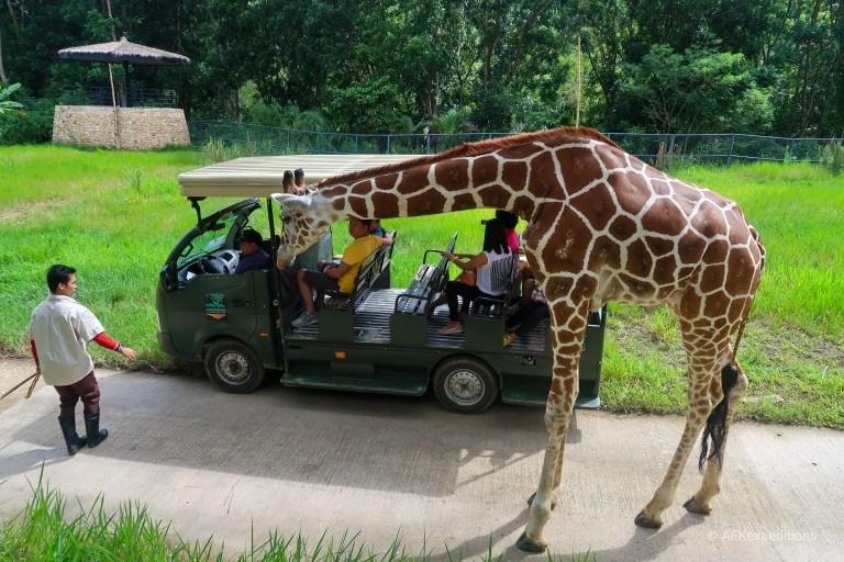 Cebu Safari & Adventure Park