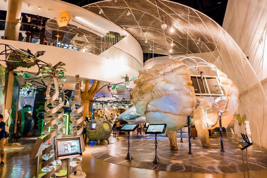 Family Attractions