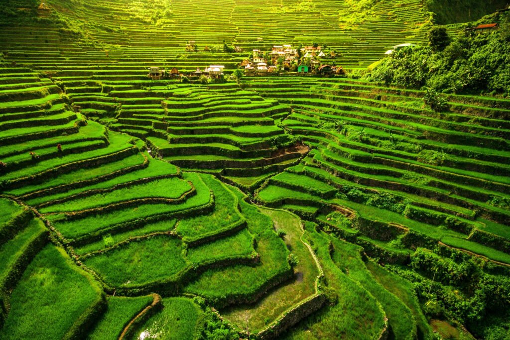 Lush green Batad Rice Terraces in Ifugao Philippines
