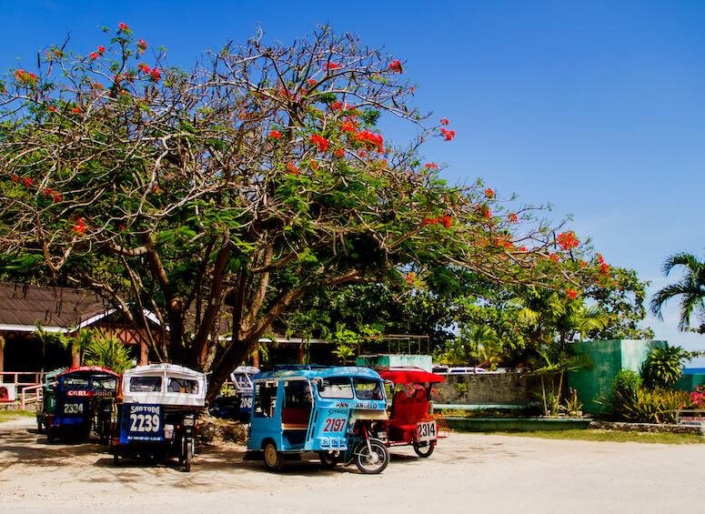 Siquijor Tricycle / Island Transport