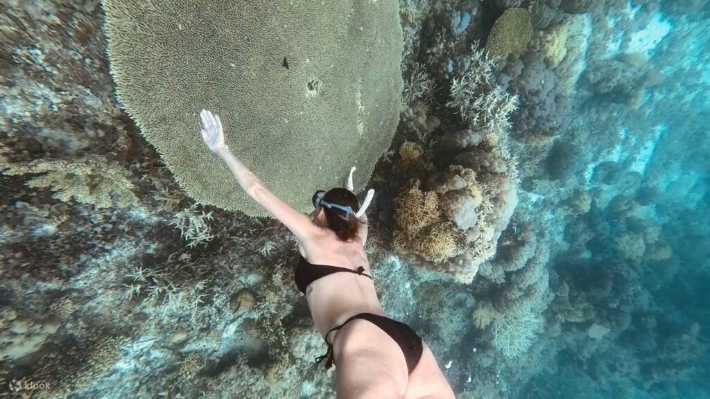 Tubod Snorkeling