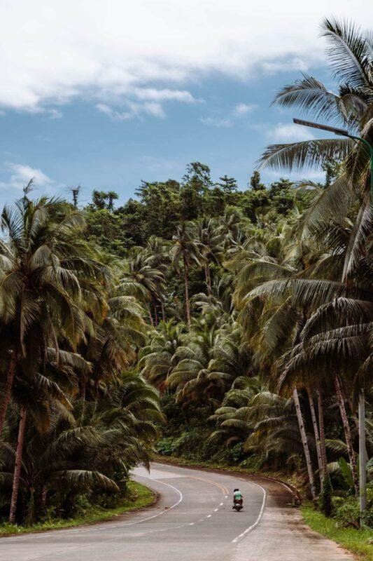 Siquijor Coastline / Tropical Road