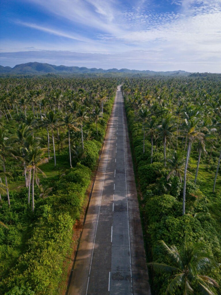 Coconut Viewpoint Palm Tree Road Siargao