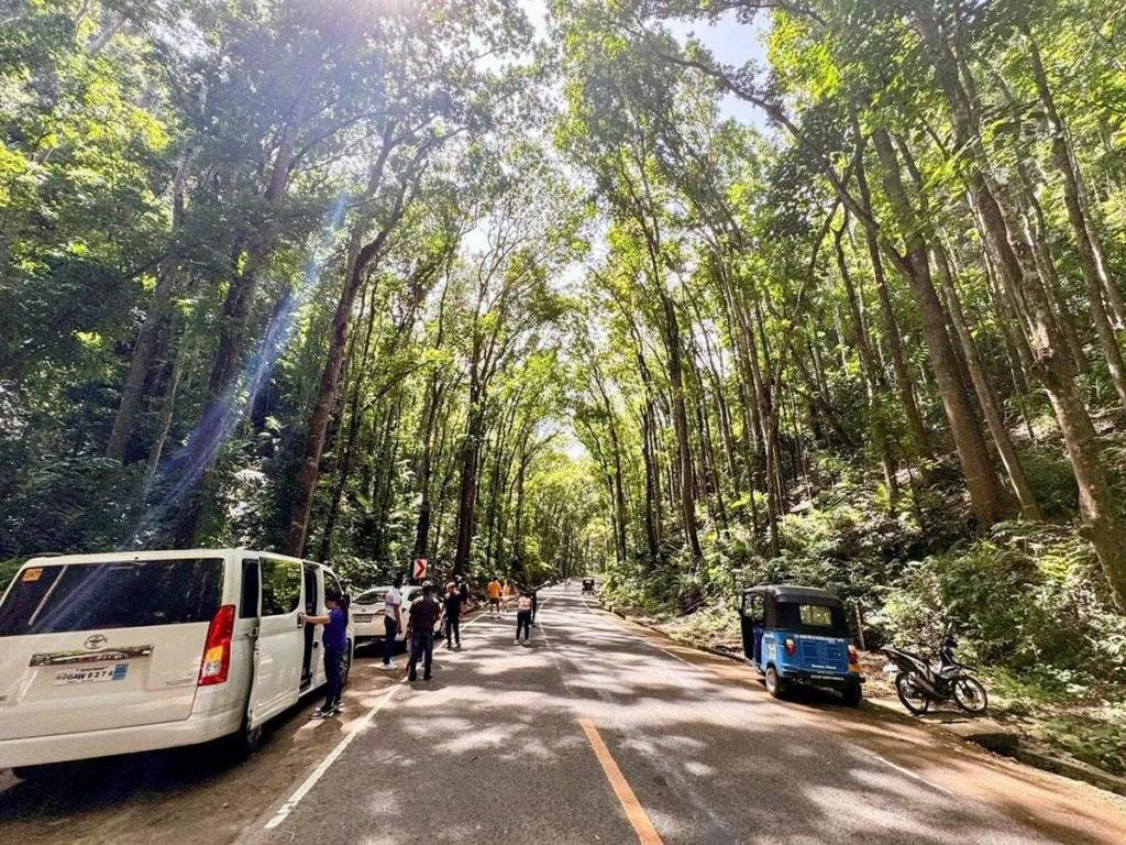 Private countryside tour in Bohol