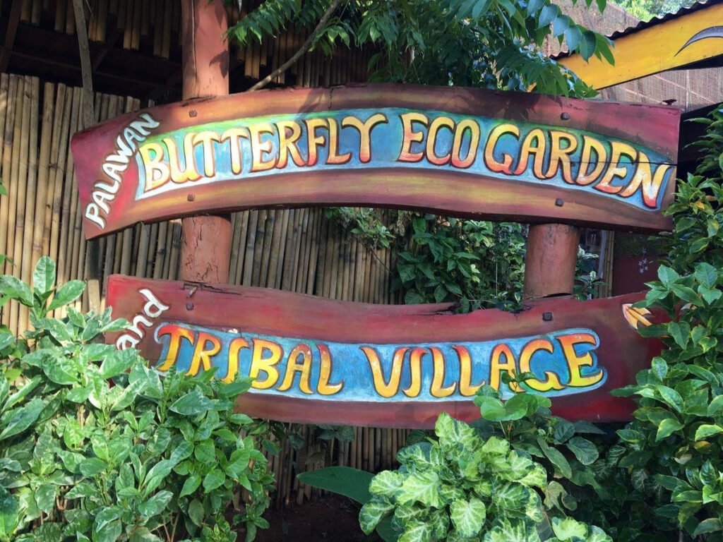 Butterfly garden showcasing tropical butterflies in Puerto Princesa