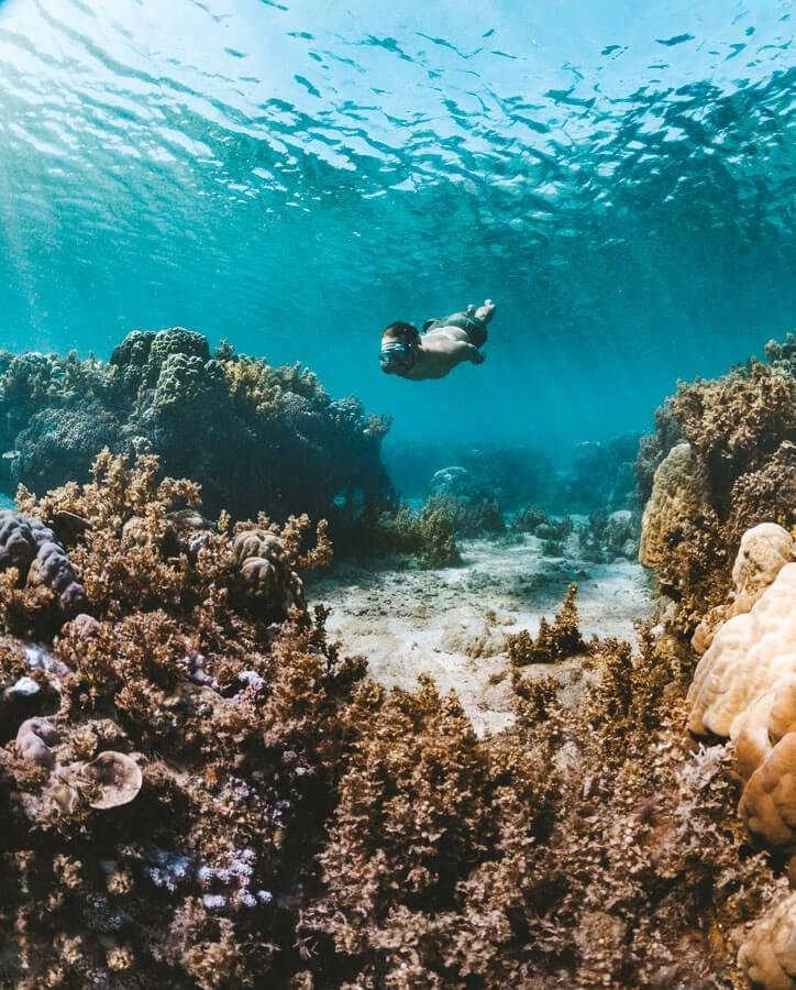 Snorkeling / clear water