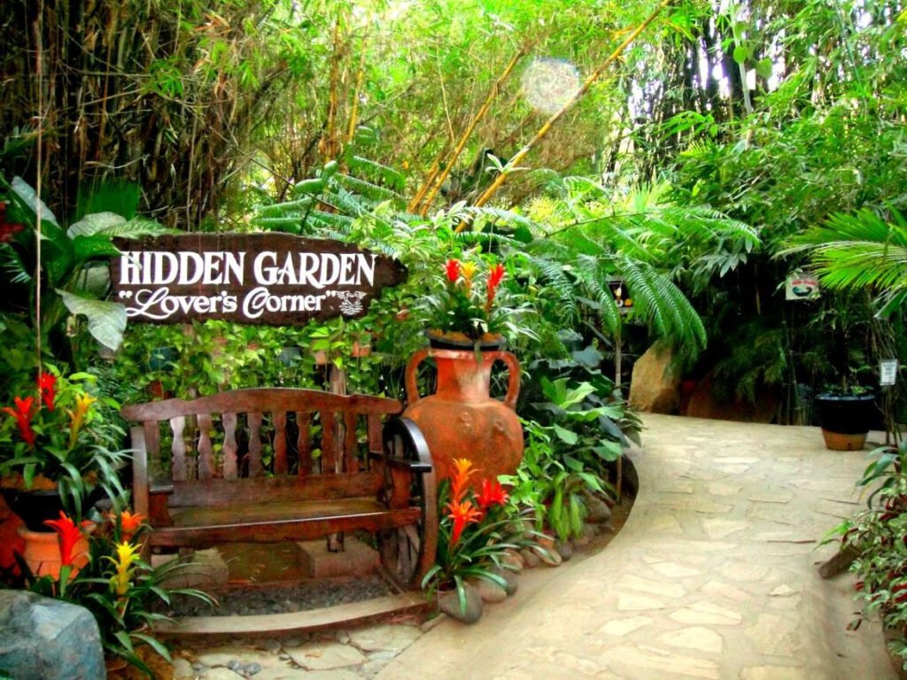 Hidden Garden
