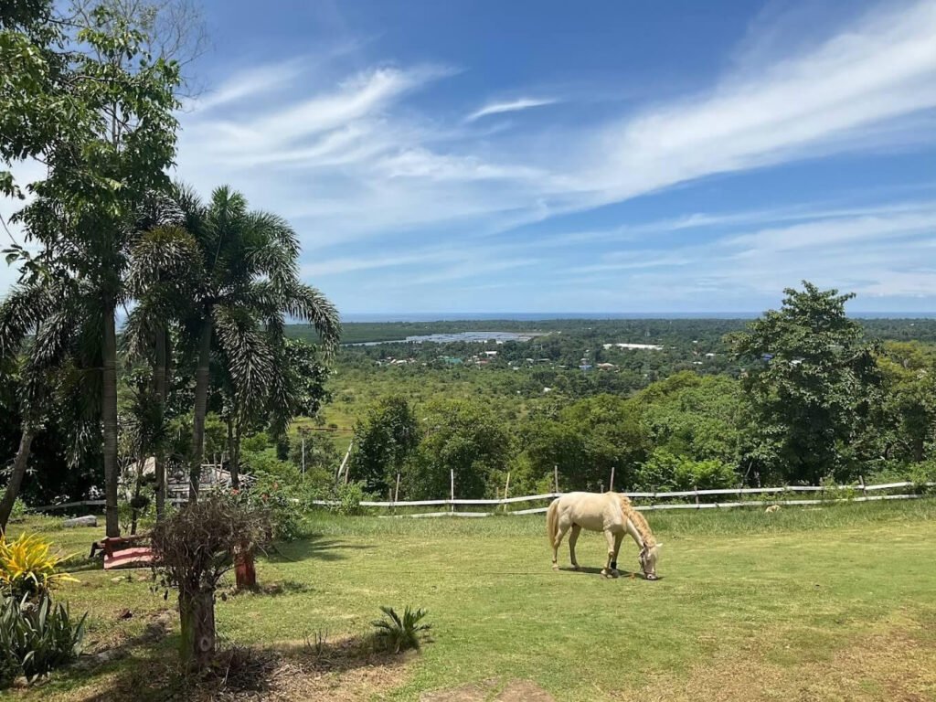 Scenic view from Mitra's Ranch overlooking the Puerto Princesa landscape