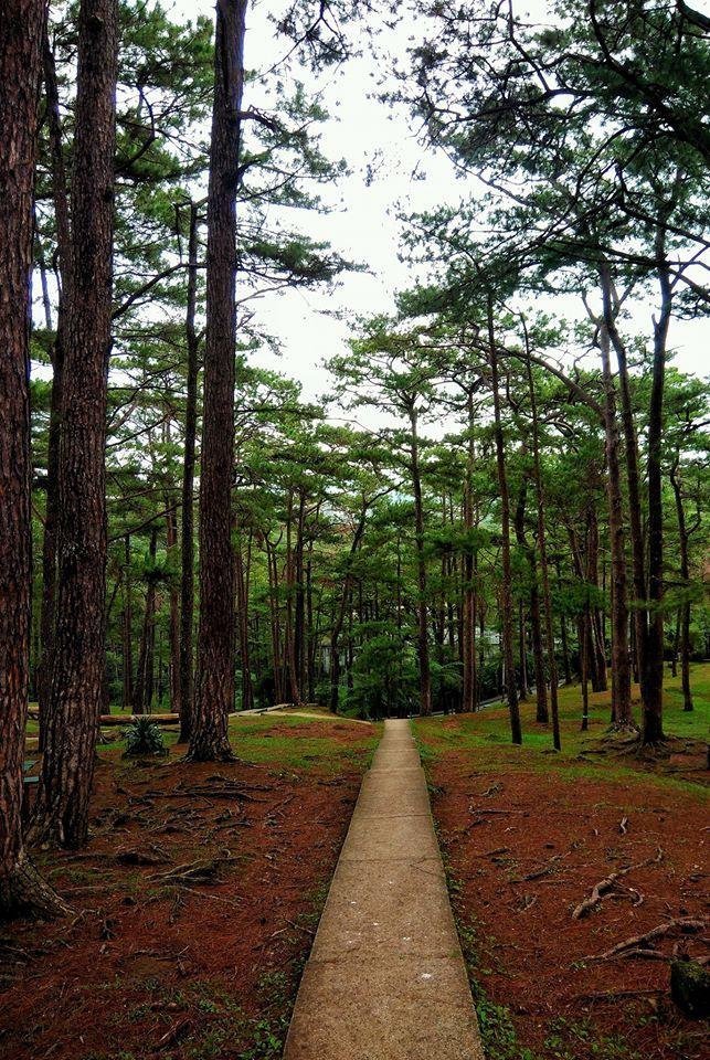 Baguio Travel Guide
