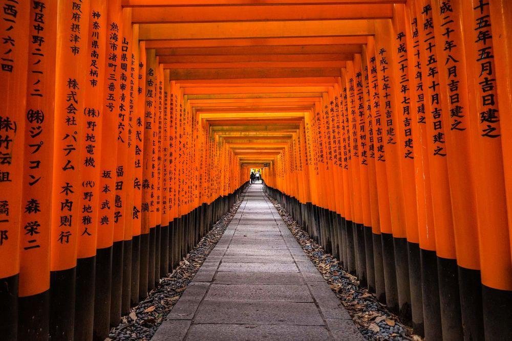 Vermilion torii gates at Fushimi Inari Taisha in Kyoto Japan