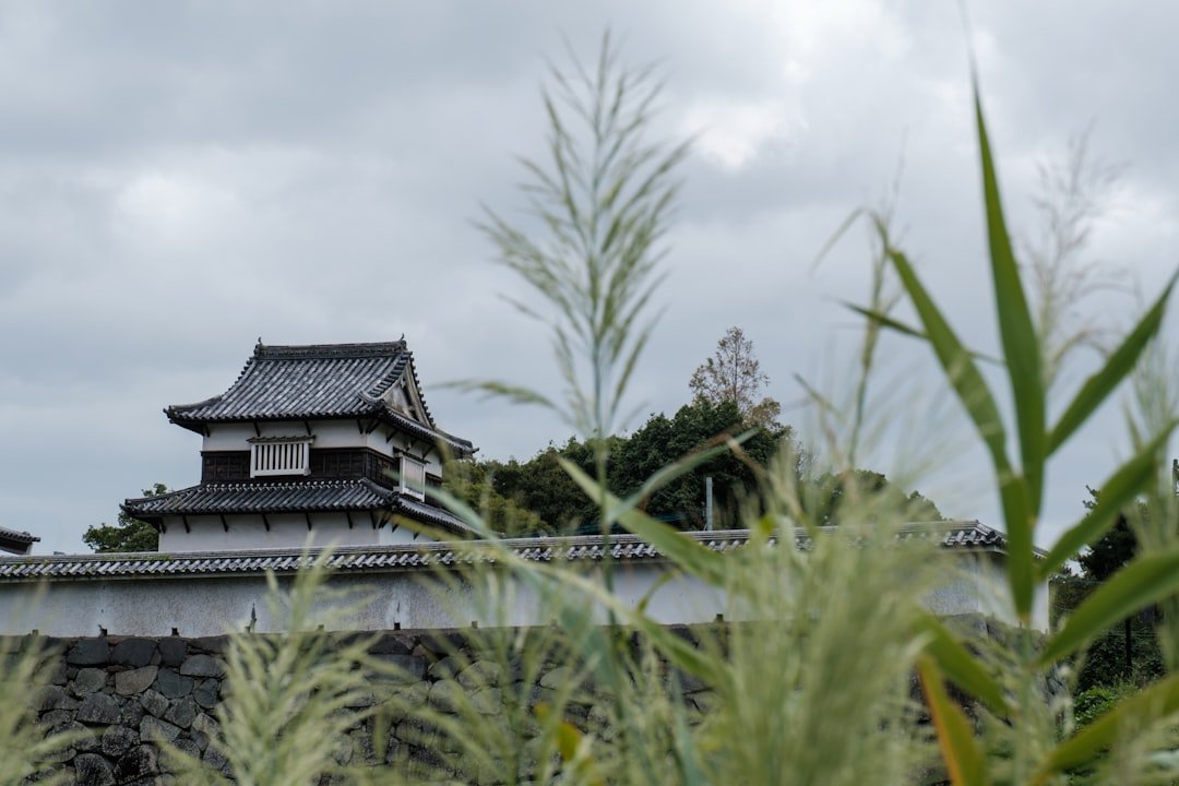 Historic-style architecture among trees in the Fukuoka area