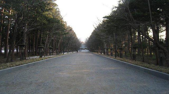 Tree-lined approach to Hokkaido Shrine in Maruyama, photographed in 2009.