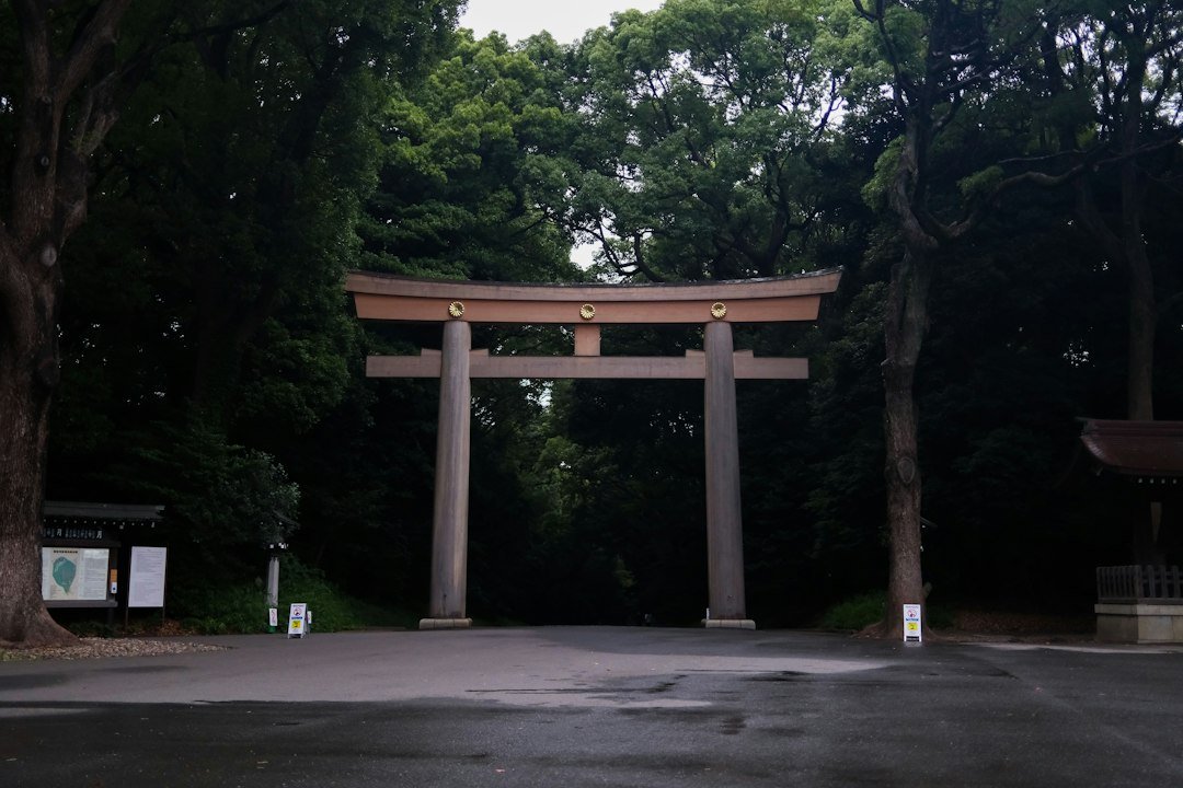 Large torii gate on the forested approach to Meiji Jingu in Tokyo
