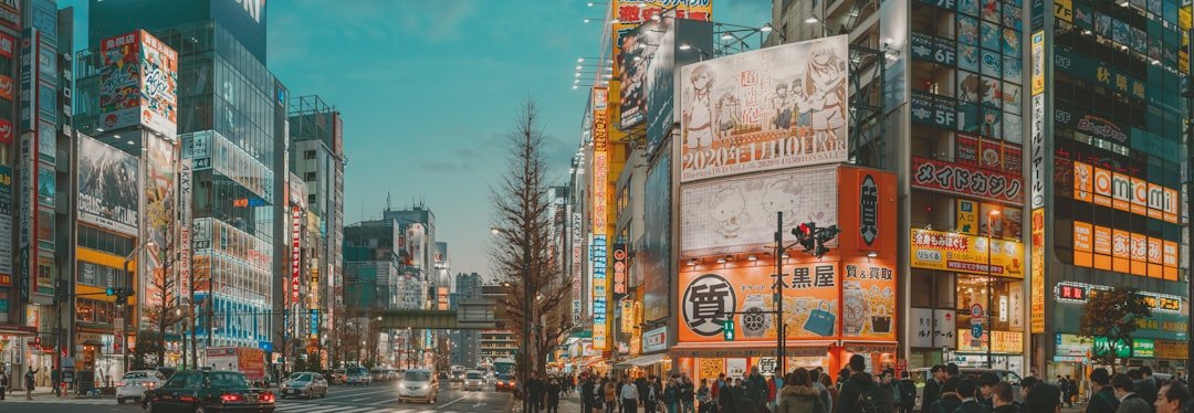 Akihabara electronic district buildings and signs at dusk
