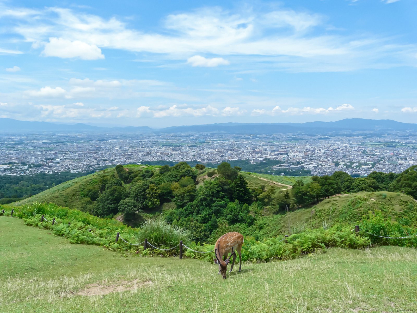 View over Nara from Mount Wakakusa